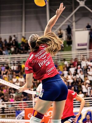 Aline Segato photo