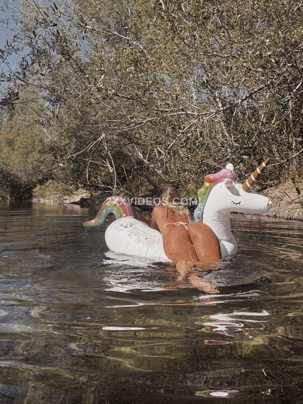 Anelaraiin photo
