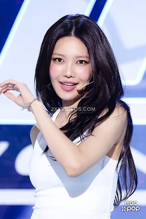 Choi Soo Young More Nude Photos