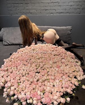 Coxifoxy
