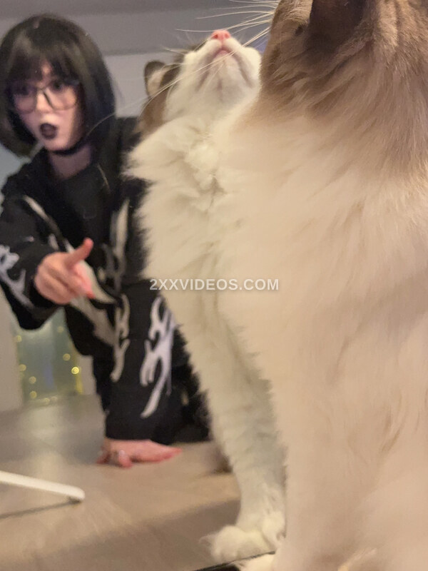 Duckie.Cos photo