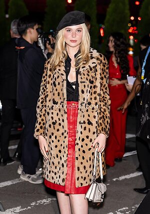 Elle Fanning Nude Leaked Photo #12