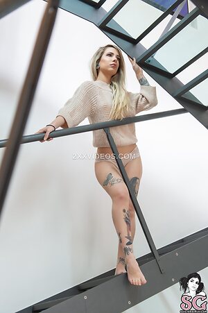 Giuno photo