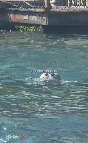 Hazal Bayazit Nude Leaked Photo #15