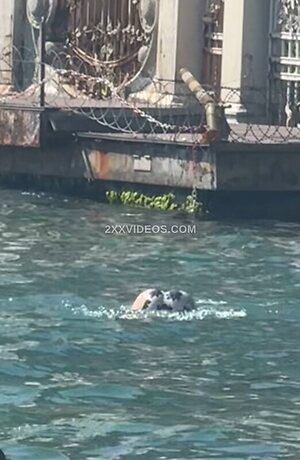 Hazal Bayazit Nude Leaked Photo #16