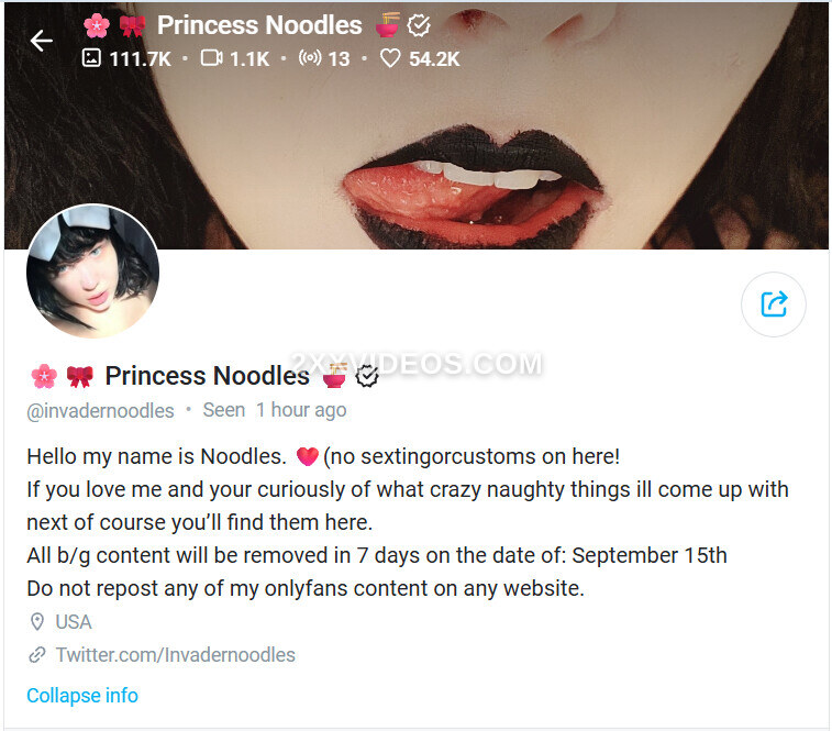 Invadernoodles photo