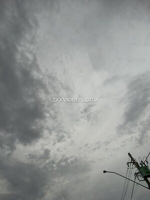 Lariic photo