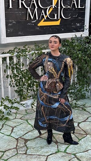 Maisie Williams Nude Leaked Photo #25