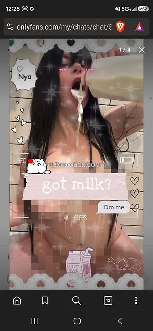 Mollymew2 photo