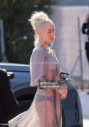 Phoebe Bridgers photo