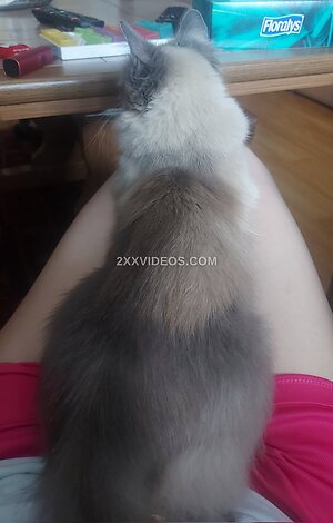 Pipi Nude Leaked Photo #86