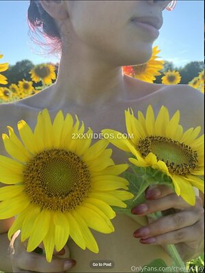 Reclusefractal photo