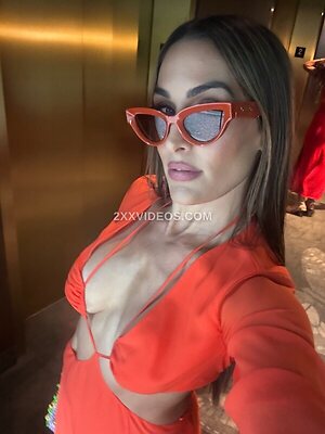 The Bella Twins: Nikki Bella & Brie Bella photo