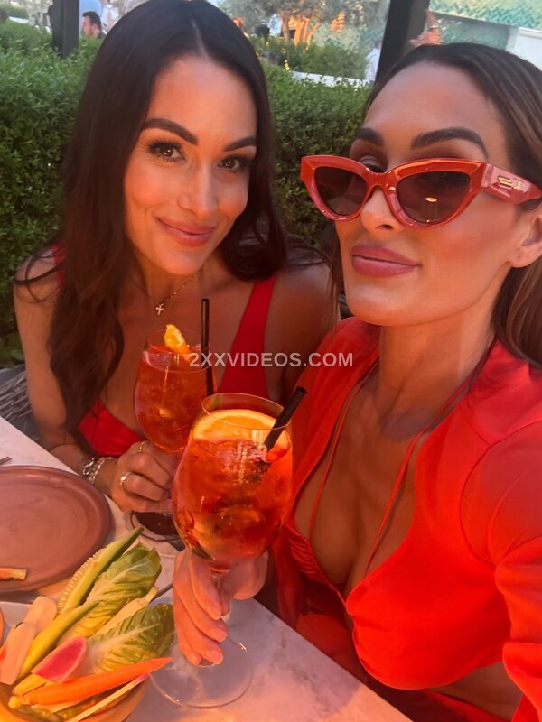 The Bella Twins: Nikki Bella & Brie Bella photo
