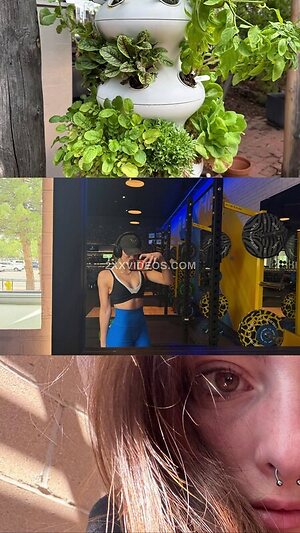 Willow shields