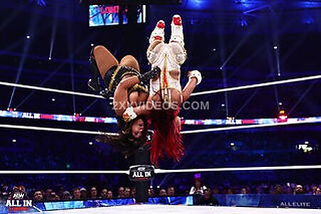 WWE Nude Leaked Photo #39