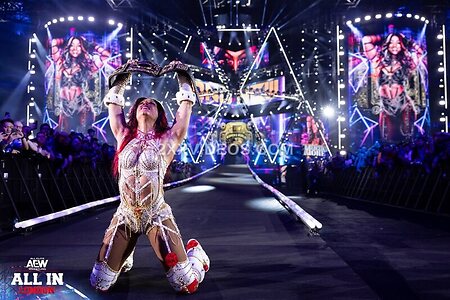 WWE Nude Leaked Photo #61