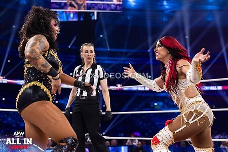 WWE Nude Leaked Photo #64
