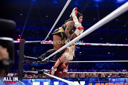 WWE Nude Leaked Photo #71