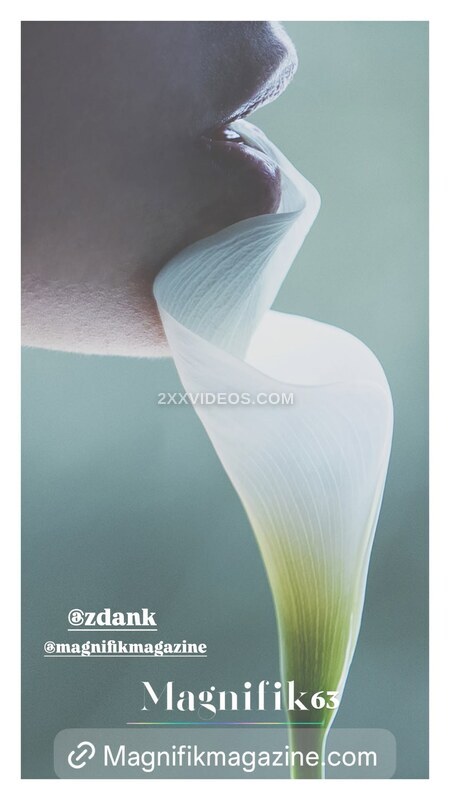 Zdank photo