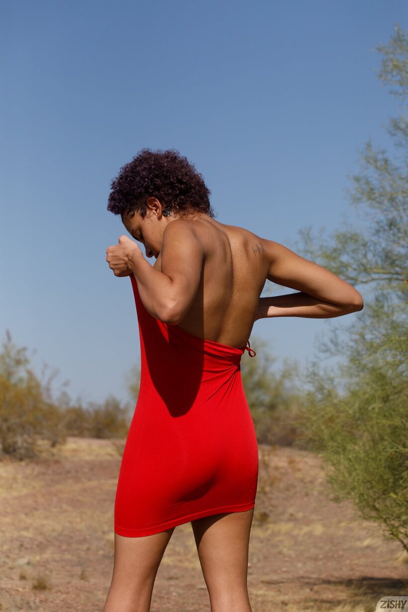 Image 12/13: Rebel Tee flashes her sexy swimsuit curves in a beachside pose