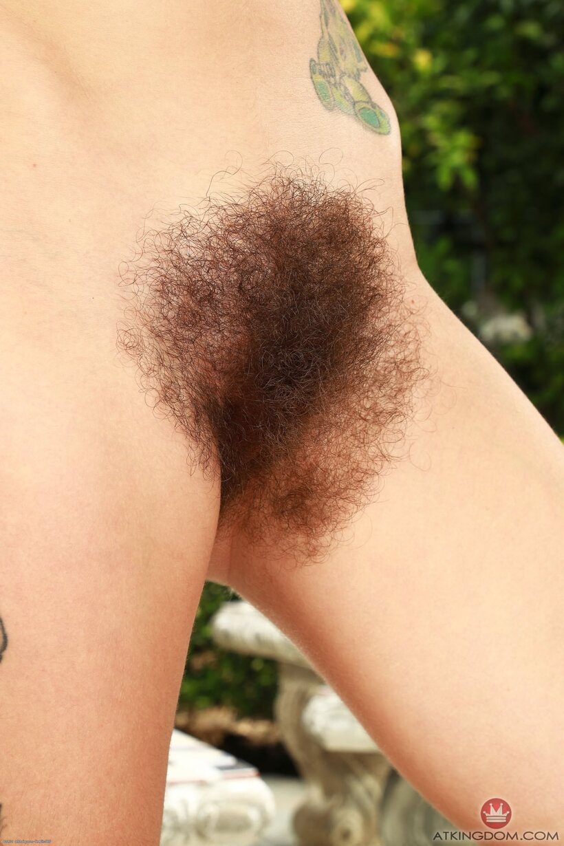 Pearl Sage pic 9 from the set «Pearl Sage flashes her hairy pits and bush in tattooed nude shots»