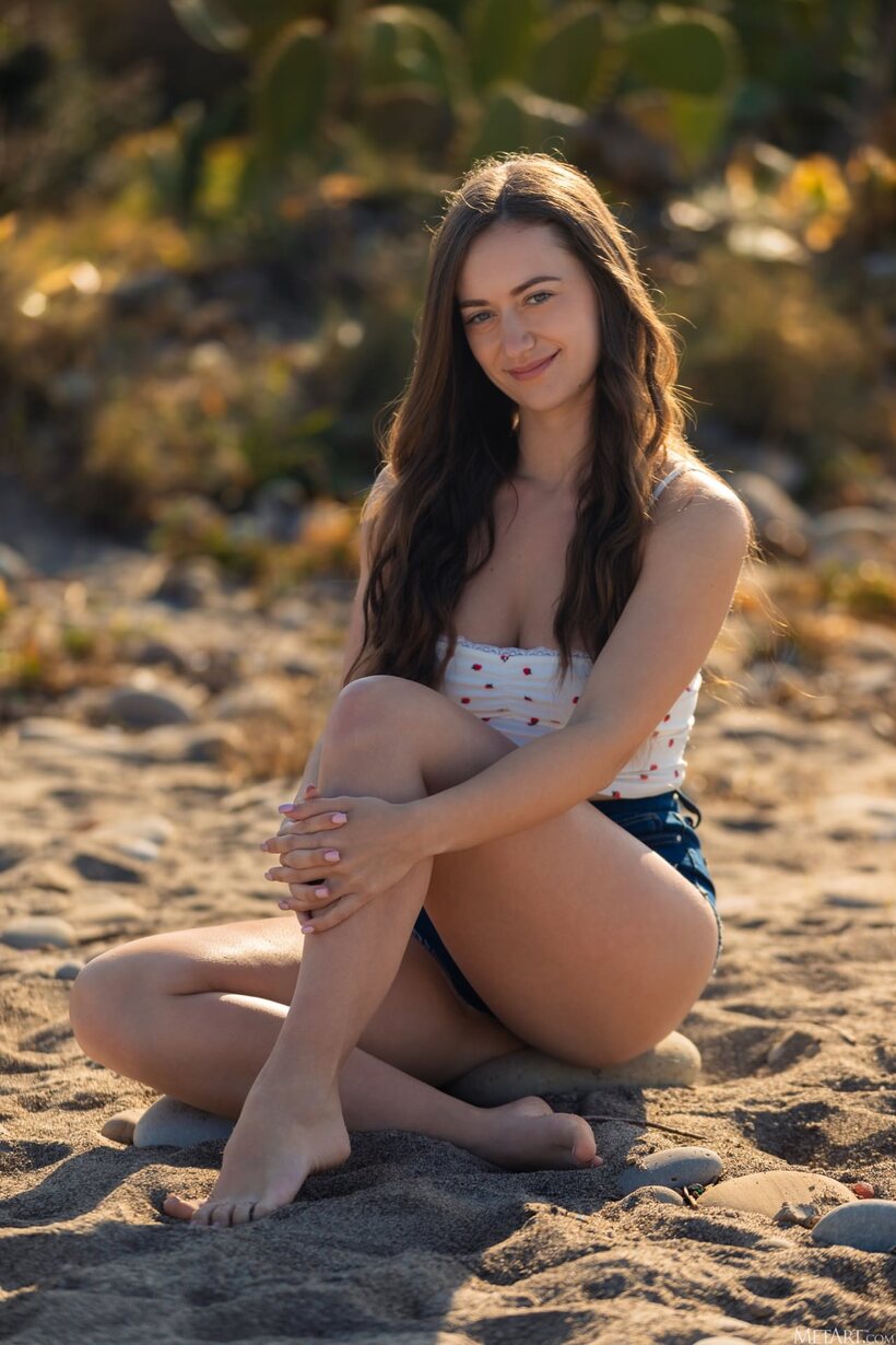 Babe pic 3 from the set «Cute girl poses naked in 21 pics»