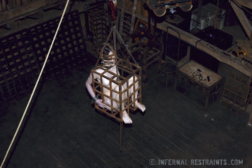 Bound as a sex slave, Felonie faces endless anal and BDSM abuse, photo 8 of 14