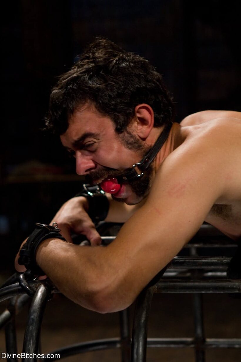 Photo 10 — Felony gives her gagged sub boy a rough strapon pounding