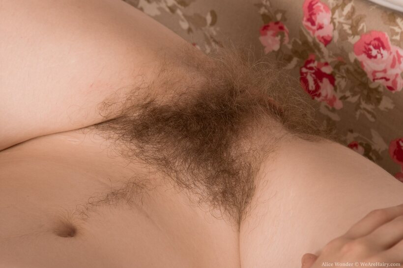 Alice Wonder nude photo 14 — Clothed Alice Wonder flaunts her natural tits and hairy pussy while undressing