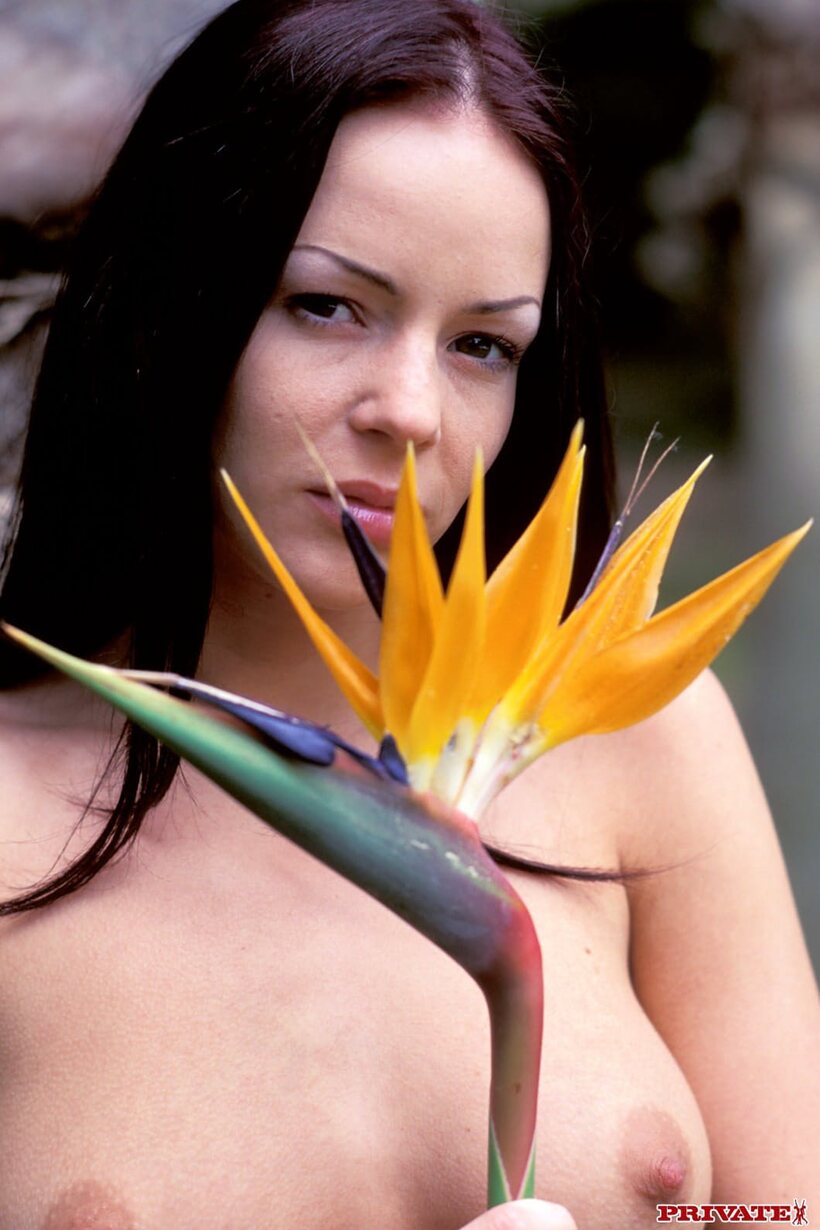 Photo 7 — Pornstar Kate More shows off her natural tits and nipples outdoors