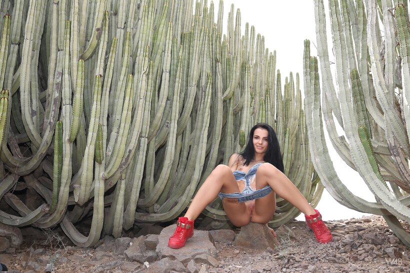 Sapphira A pisses naked in a cactus field outdoors, photo 7 of 21