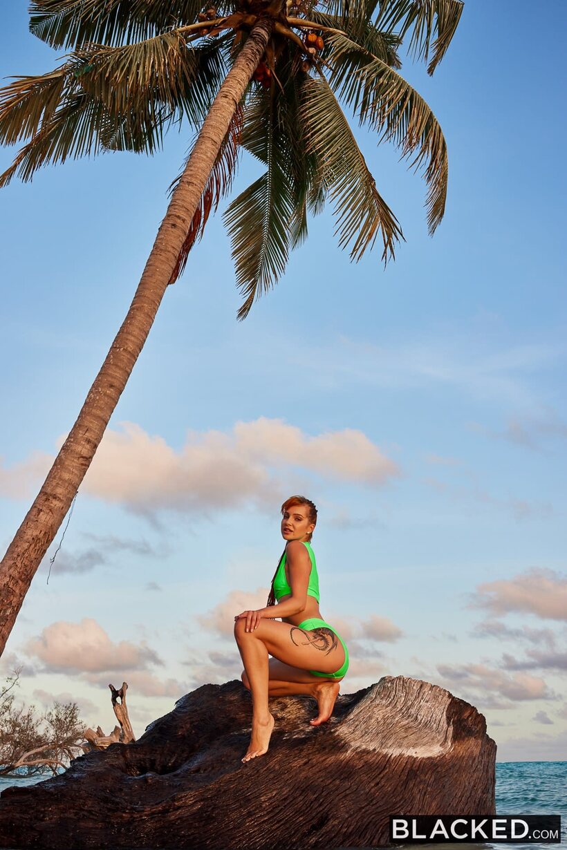Image 2/18: Little Dragon rides and sucks a BBC on the beach