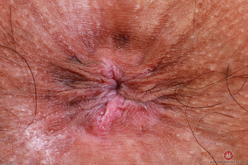 Hairy Sona Bella undresses and shows her natural tits and gaping asshole, photo 21 of 21
