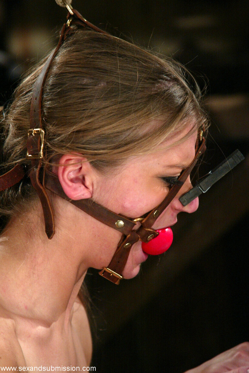 Mark Davis pic 10 from the set «Bound and ball-gagged, Rita Faltoyano is fingered while tied up»