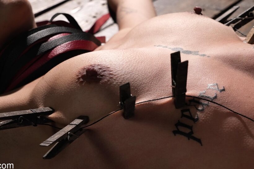 Photo 9 — Brooklyn Gray hangs bound and naked, enduring humiliation
