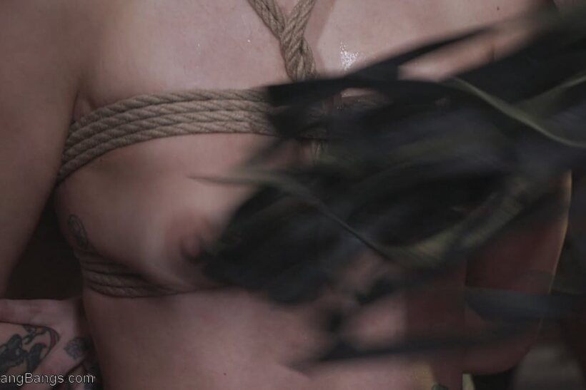 Donny Sins and crew star in a naked anal gangbang party (shot 4)