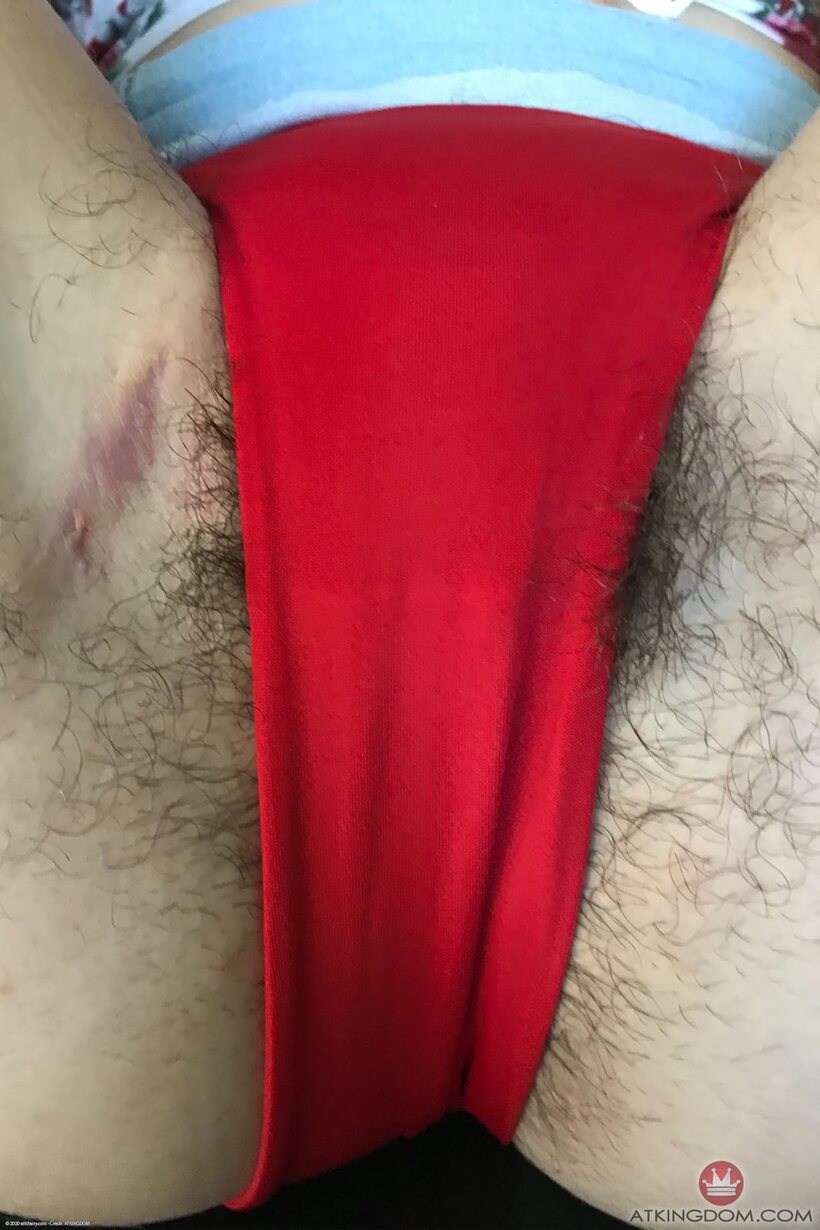 Hairy Megan Marx in panties shows her big pussy lips, photo 6 of 20